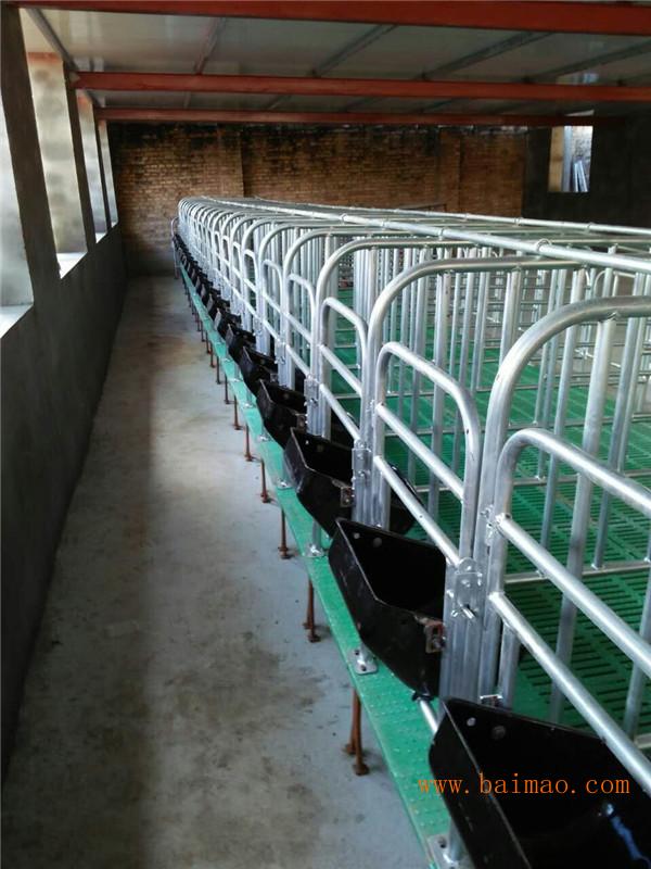 猪用镀锌管定位栏母猪保胎半限位栏养猪设备厂家冯平