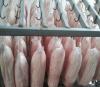 冷冻猪板油 冷冻猪肥膘批发 山东冷冻猪肉批发厂家