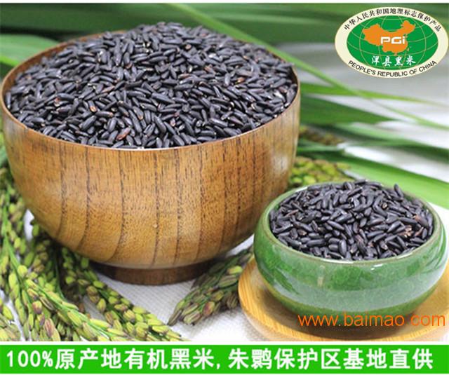 洋县优质有机黑米批发零售厂家/批发/供应商