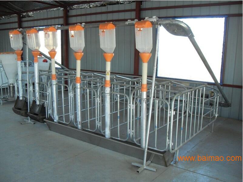 养猪料线 自动化养猪料线 山东德州正红农牧机械