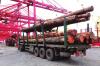广州黄埔港木材进口报关公司，马来西亚木材进口清关代