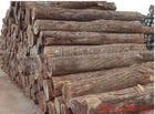 广州黄埔港木材进口报关公司，泰国木材进口清关代理