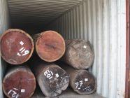 广州黄埔港木材进口报关公司，非洲木材进口清关代理
