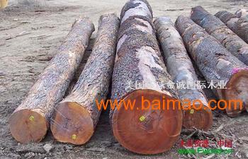 广州黄埔港木材进口报关公司，美洲木材进口清关代理