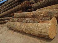 广州黄埔港木材进口报关公司，欧洲木材进口清关代理