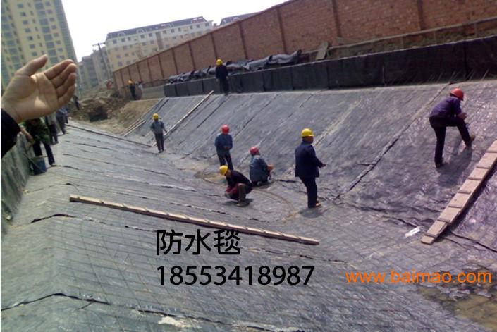 上海 批发建筑用膨润土防水毯
