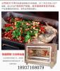 河南恒晟厂家生产的智能红外线烤鱼炉