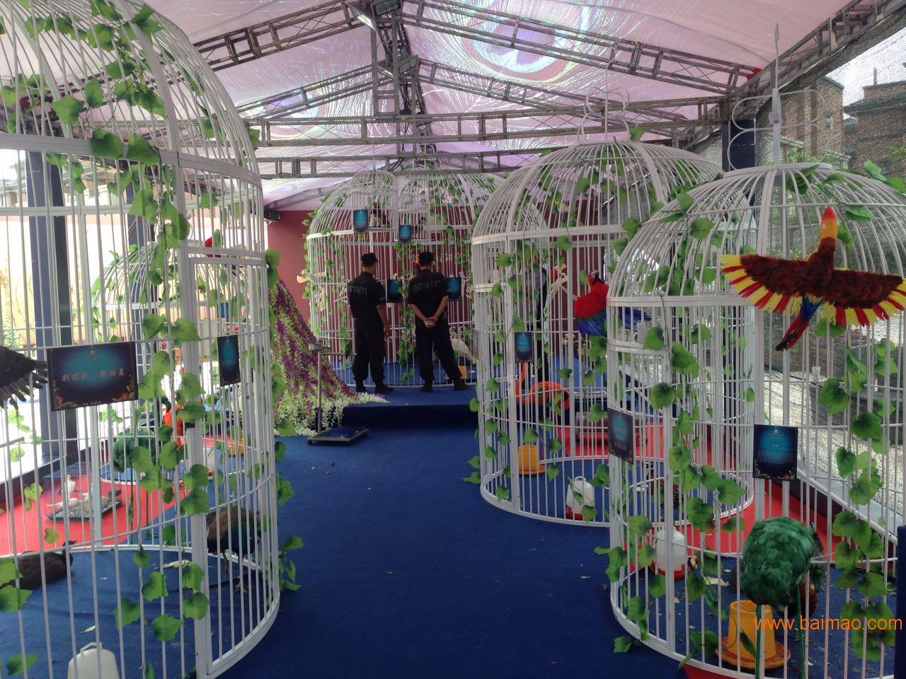 百鸟展百鸟朝凤百鸟争鸣萌鸟展欢歌资源