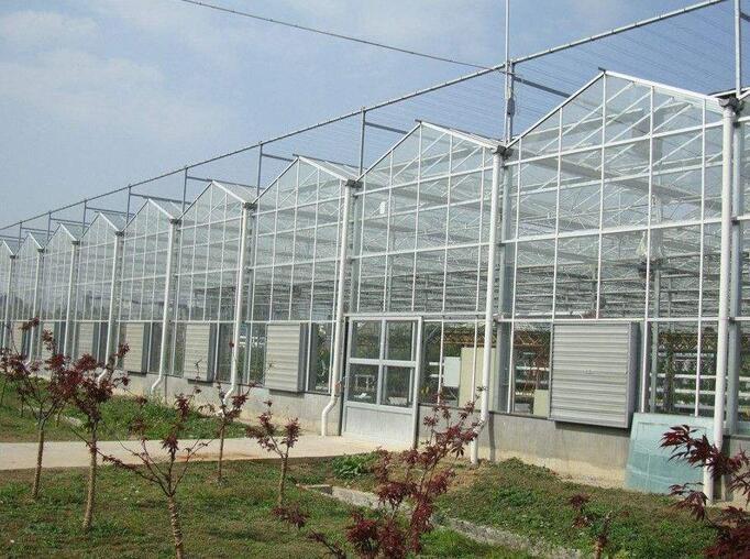 温室大棚-智能花卉温室-连栋温室厂家