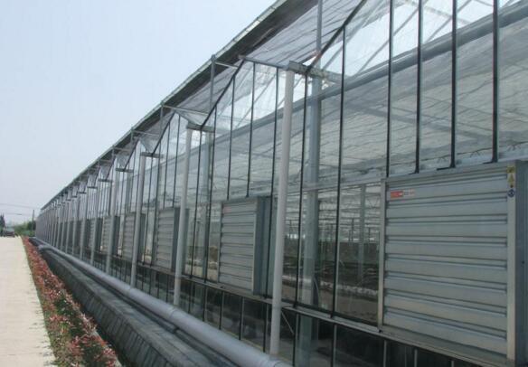 花卉温室大棚-质量上乘-连栋花卉温室厂家