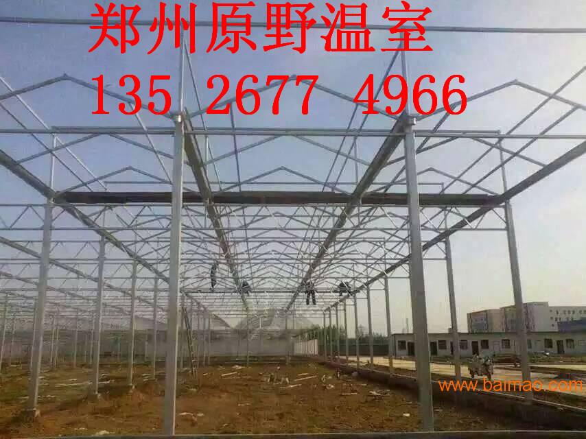 郑州原野温室大棚建造安装技术配件新型价格