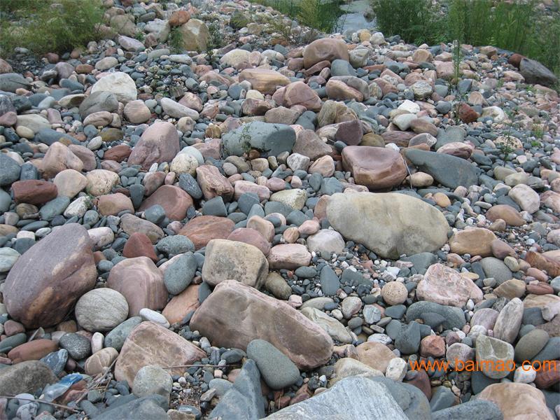 河北邢台天然鹅卵石 河卵石产地批发