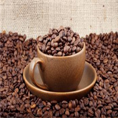 深圳咖啡豆进口报关公司/咖啡豆进口备案方法