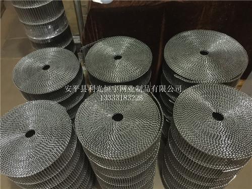 深圳厂家直销乙字型不锈钢网带 金属食品输送网带