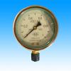 YTN-60-100-150充油式耐震压力表