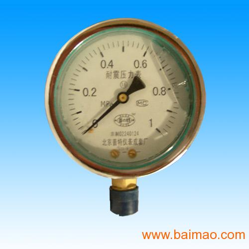 YTN-60-100-150充油式耐震压力表