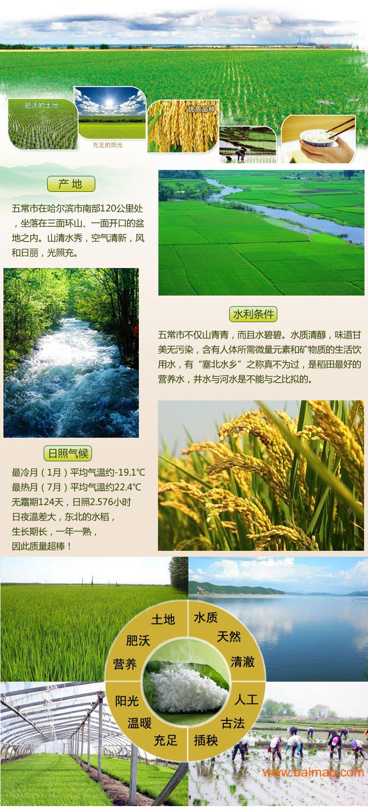 "e粒香"五常稻花香2号有机大米厂家/批发/供应商