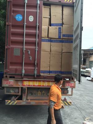 裕锋达提供从中国深圳到泰国物流**线运输 包税到门