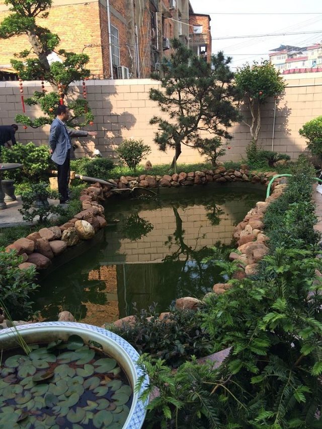 云南省昆明市盘龙区酒店景观鱼池水净化