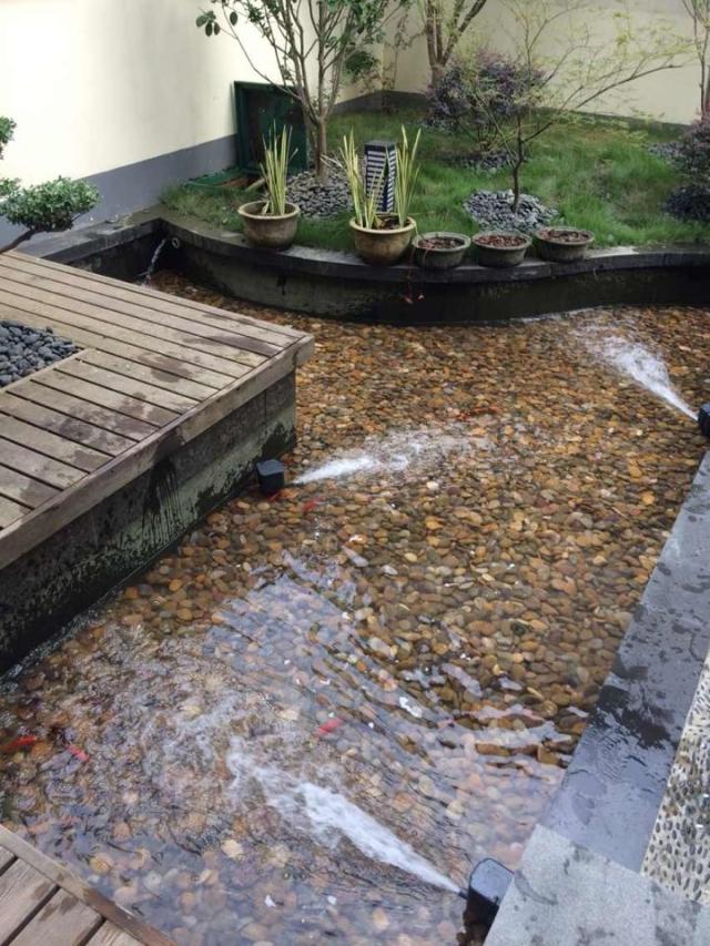 云南省昆明市呈贡县店景观锦鲤池设计