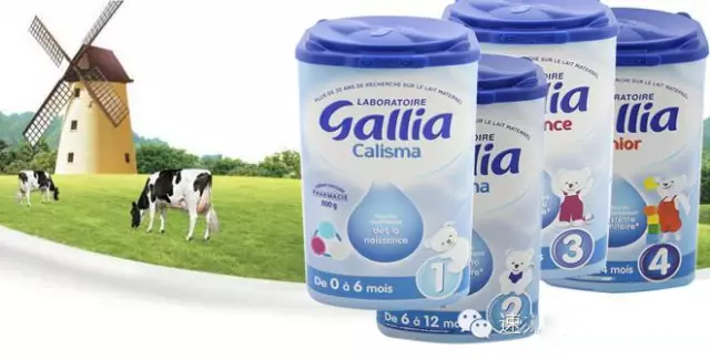 【天天一族】Gallia（佳丽雅）1段标准奶粉