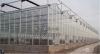 文洛式玻璃温室 智能玻璃温室