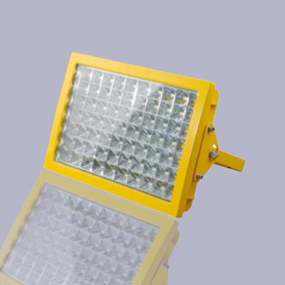 50W高光效防爆LED泛光灯 护栏式安装电压220