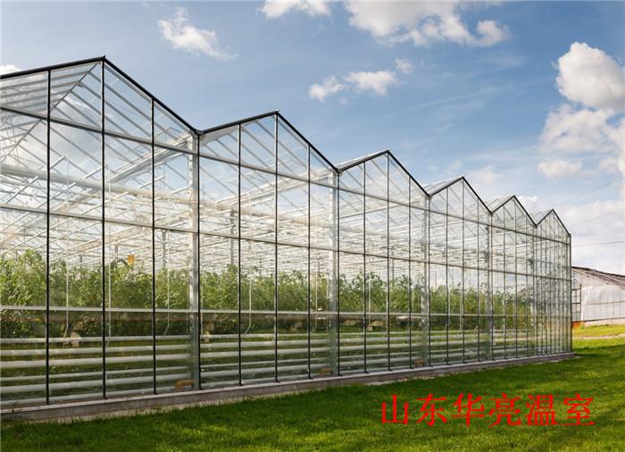 智能玻璃温室报价 华亮温室建设厂家 连栋玻璃温室设