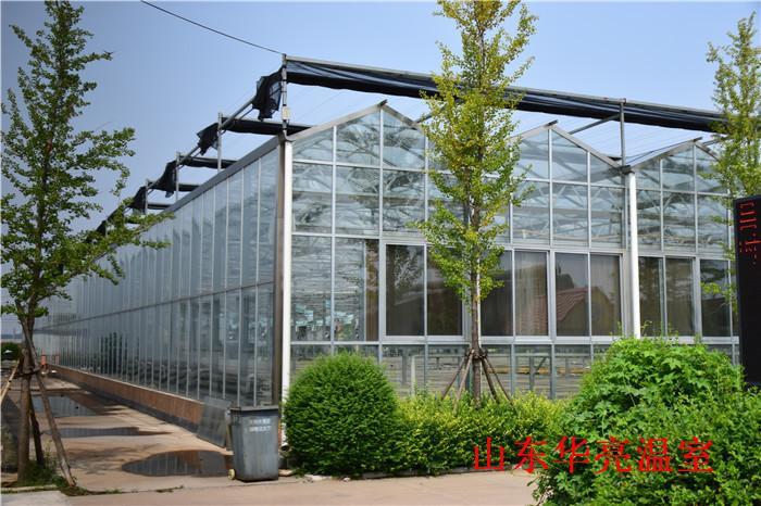 养殖温室大棚厂家 连栋玻璃温室建造 玻璃温室报价