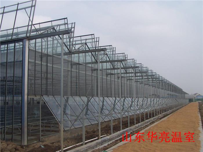 养殖温室大棚厂家 连栋玻璃温室建造 玻璃温室报价
