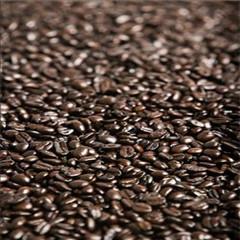 深圳食品进口报关公司/咖啡豆进口报关需要办理手续