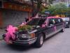 广州婚庆租车，一条龙的租车服务，让您满意！