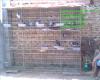鸡鸽兔笼养殖笼具养殖器材牛栏网养鸡网铁丝网圈玉米网