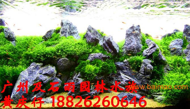 广州及石雨大量批发自然水族鱼缸造景石黑白石云雾石