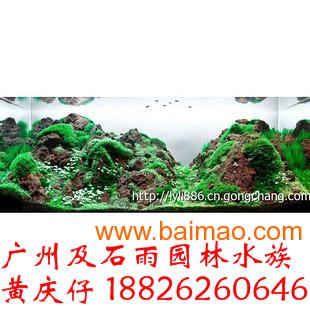 广州及石雨大量批发自然水族鱼缸造景石火山石