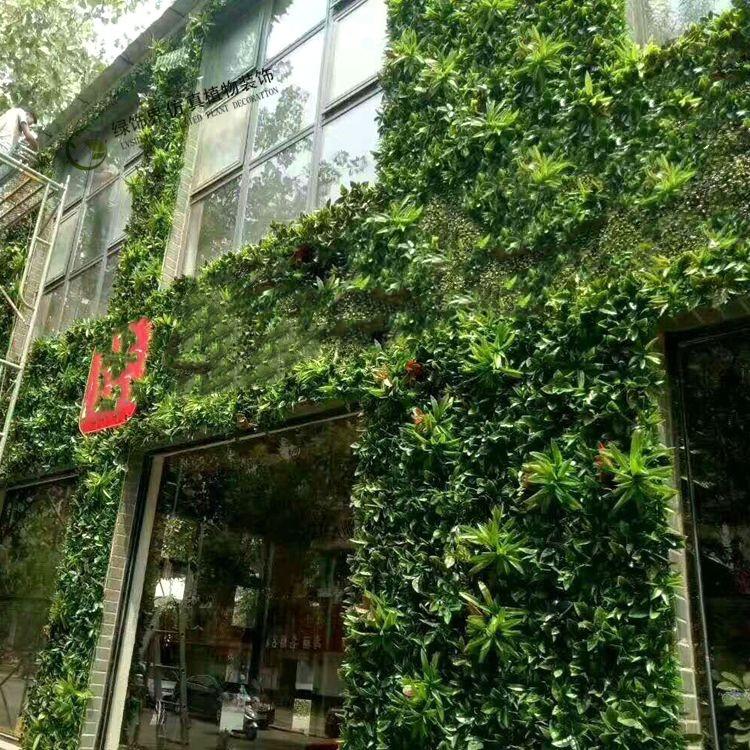 仿真尤加利植物墙绿化墙体仿真草坪地毯草皮阳台绿植墙