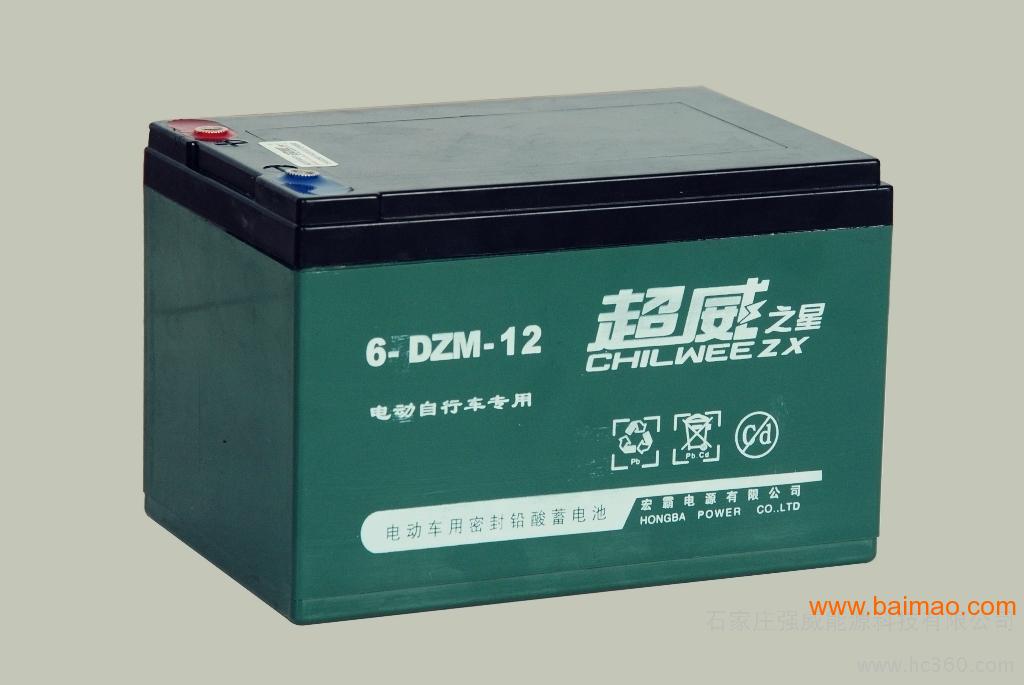 广西爱玛电动车电池供货商