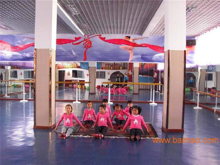 北京舞蹈学院地板，北京舞蹈学院用地板，北京舞蹈学院