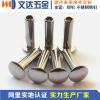 深圳文达供应201不锈钢铆钉、不锈钢铆钉生产厂家、