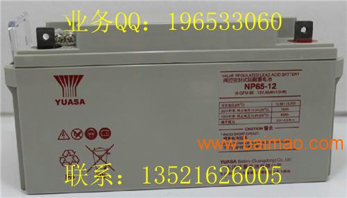 耐普12V蓄电池 12V-100AH免维护蓄电池