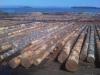 宁波木材报关行|红木进口报关代理|木材进口手续|宁