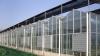 哪里有提供靠谱的阳光板温室大棚 泉州阳光板温室大棚