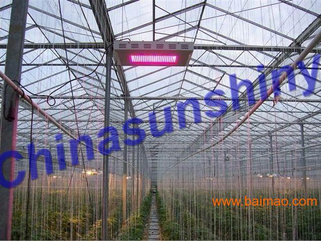 北京LED植物补光灯