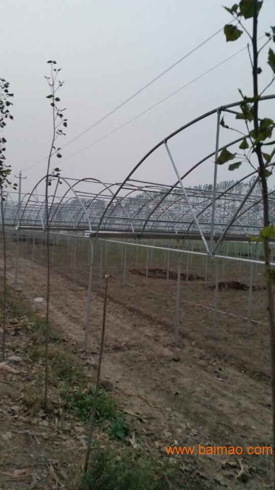 沧州简易连体棚建造成本蔬菜大棚建造施工图
