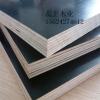 建筑模板生产厂家磊正木业15624274612