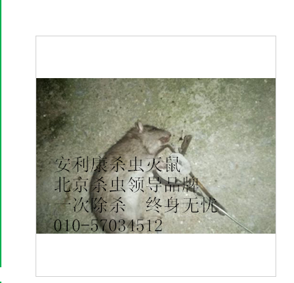 安利康（北京）环保科技批发供应灭老鼠,灭蟑螂，杀虫