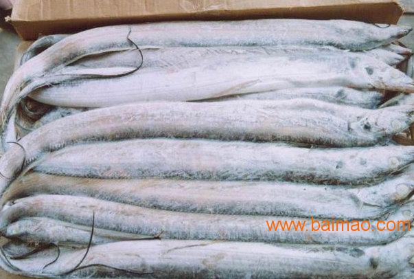 冷冻三文鱼价格 冷冻石斑鱼批发厂家 冷冻墨鱼供应商