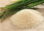 泰国大米价格 巴西大米供应商 小麦供应商 进口玉米
