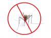 合肥有害生物防治-灭蟑螂公司