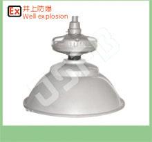 SBF6110免维护节能防水防尘防腐工厂灯